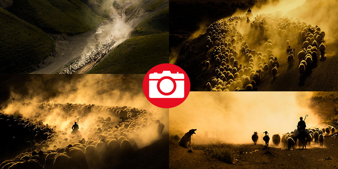 Nemrut Dağı eteklerinde zorlu yayla yolculuğu