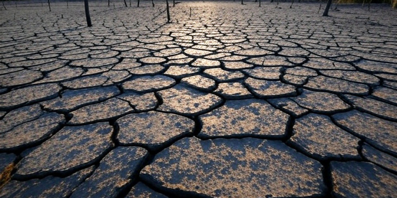 Bursa barajlarında su kalmadı: Yağmur namazı ve duasının zamanı geçmesin