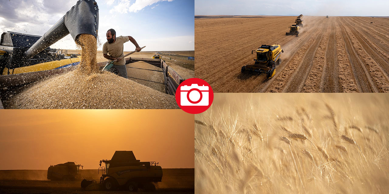 Ankara’da buğday hasadı mesaisi gece gündüz sürüyor