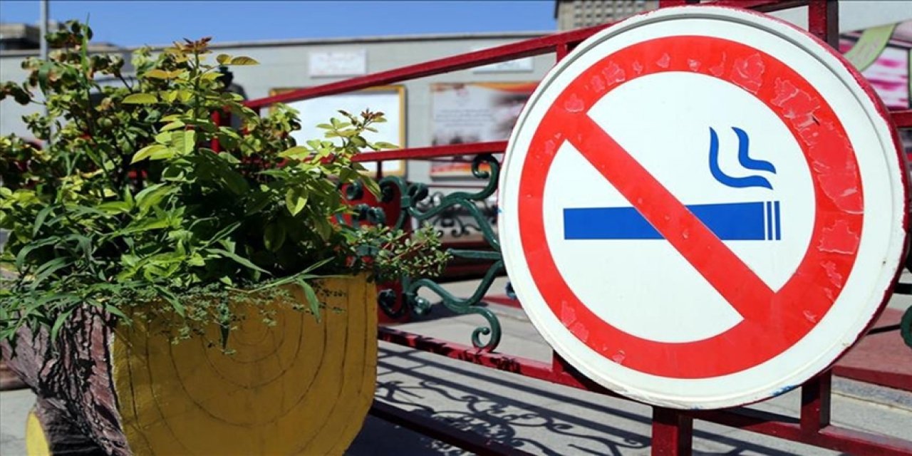 Türkiye'nin ilk sigarasız şehri' Artvin oluyor