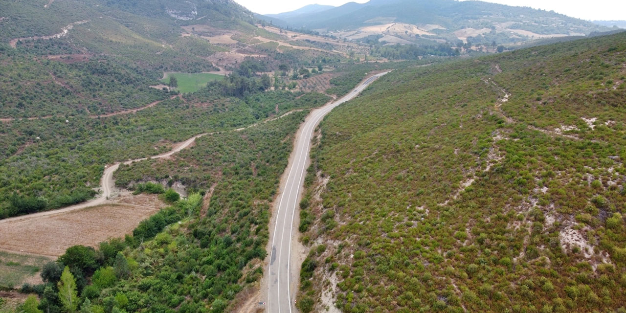 Osmaniye'de 4 yıl önce yanan alanlar, dikilen fidanlarla yeniden yeşerdi