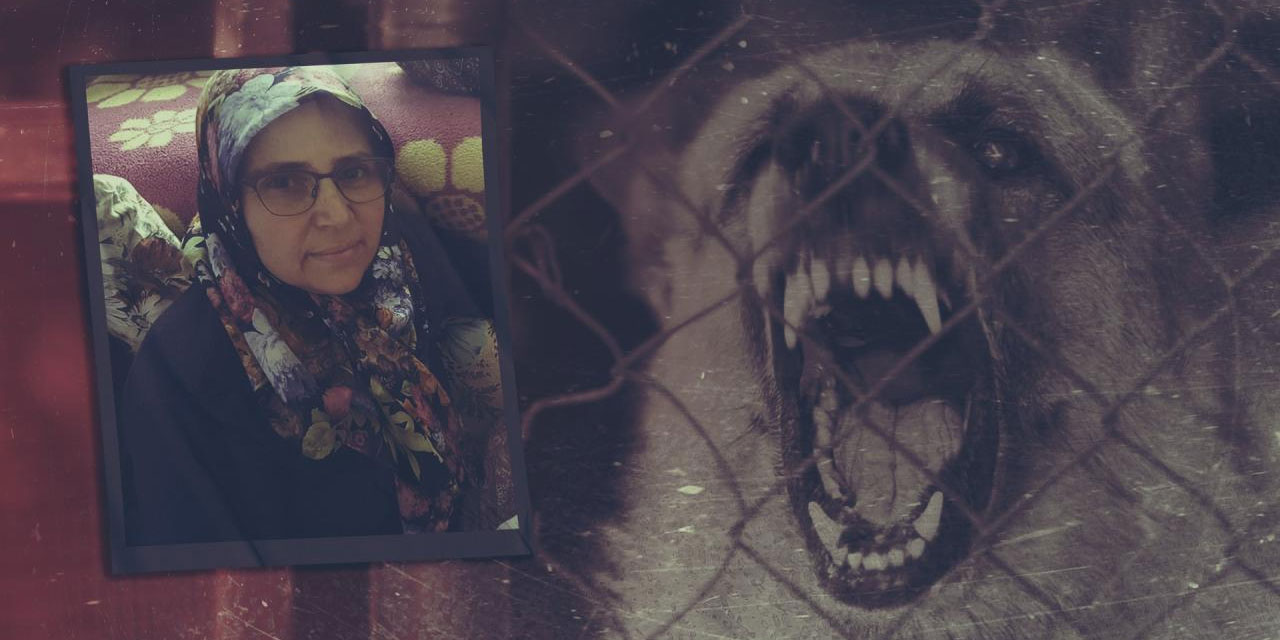 55 yaşındaki kadın köpeklerden kaçarken otomobilin altında can verdi