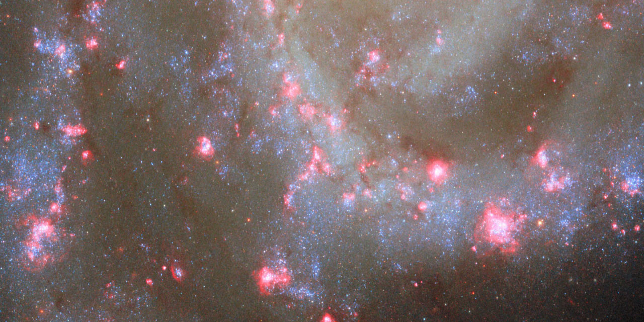 Çiçek bahçesi gibi galaksi