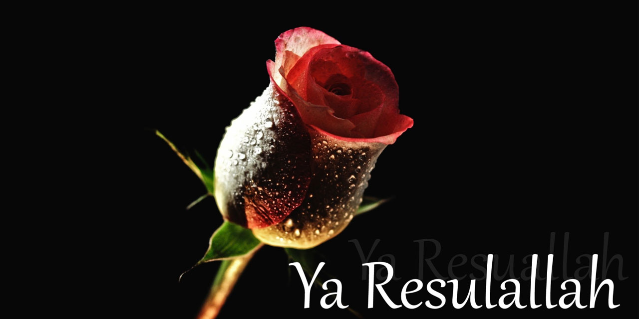 Peygamber (asm) aşkıyla yanık bir sine