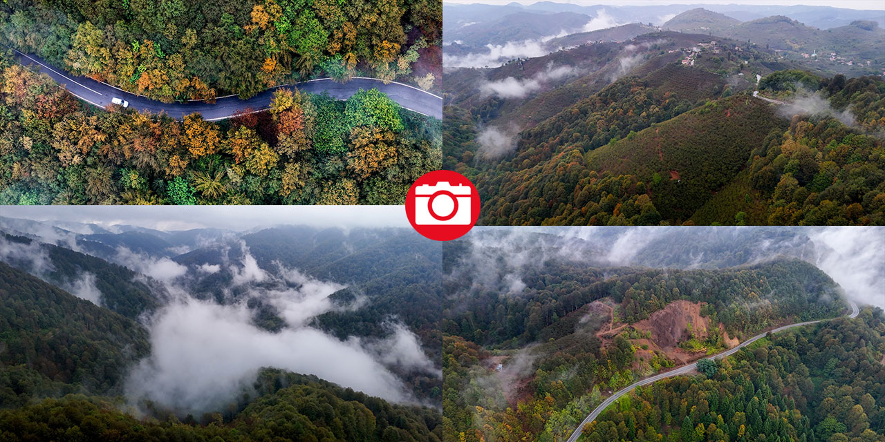 Çam Dağı'nda sonbaharın renkleri sisle buluştu