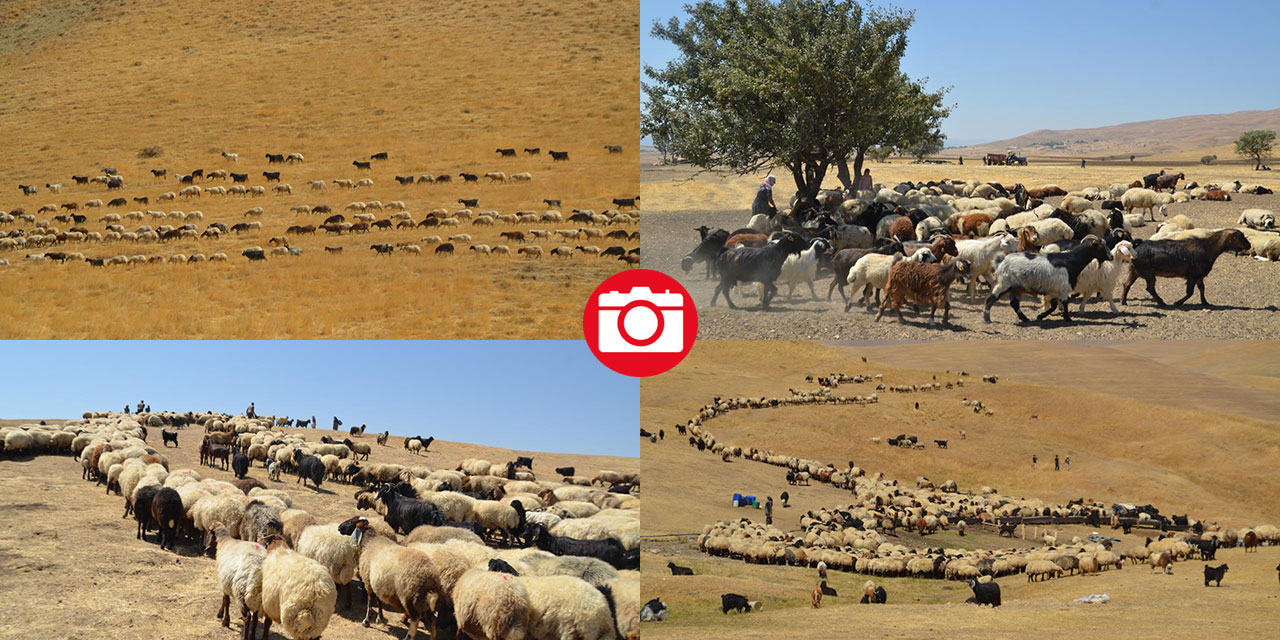 Havanın soğumasıyla yaylacıların dönüş yolculuğu başladı