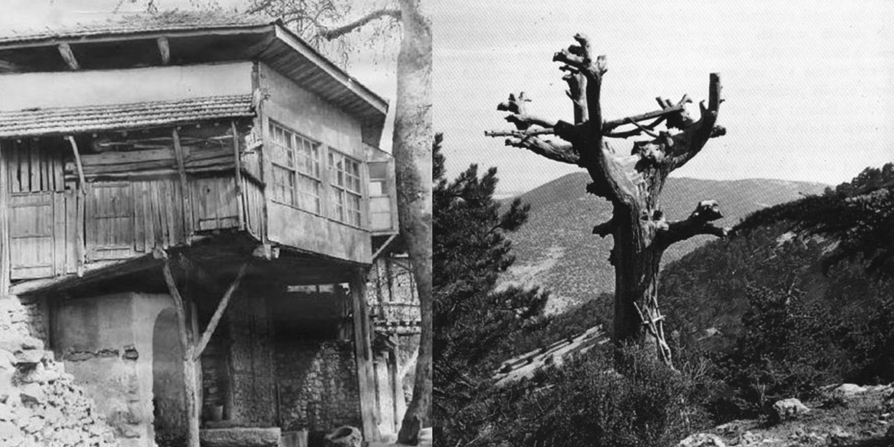 Bediüzzaman'la ilgili hatıralar tahkik ediliyor