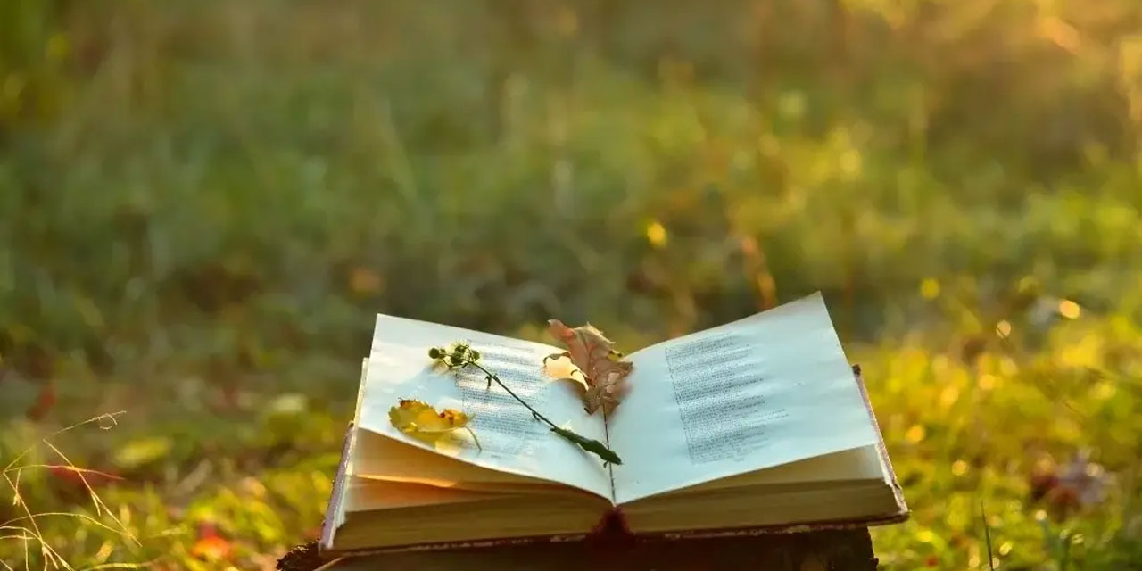 Bir Şâirle Tatlı Bir Muhavere