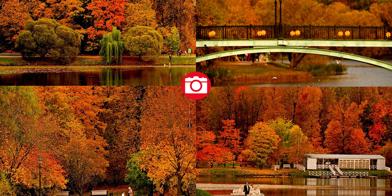 Tsaritsıno Sarayı’nda altın sonbahar