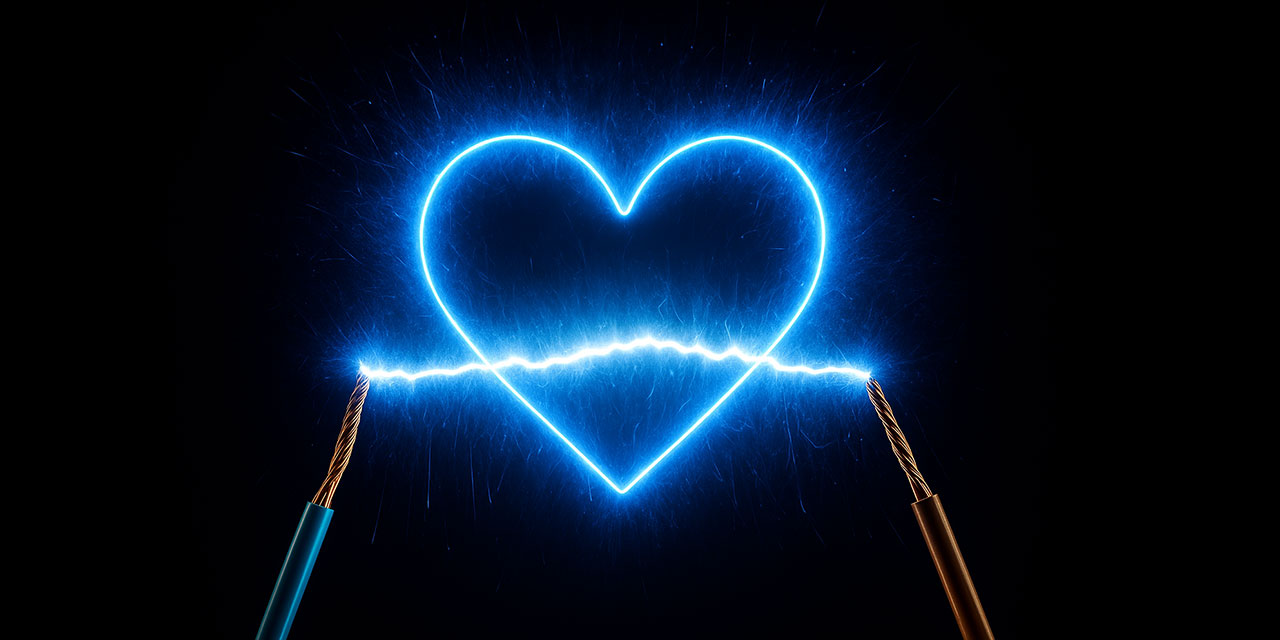 Kalbimizdeki mucizevî olay: Elektrik ağı