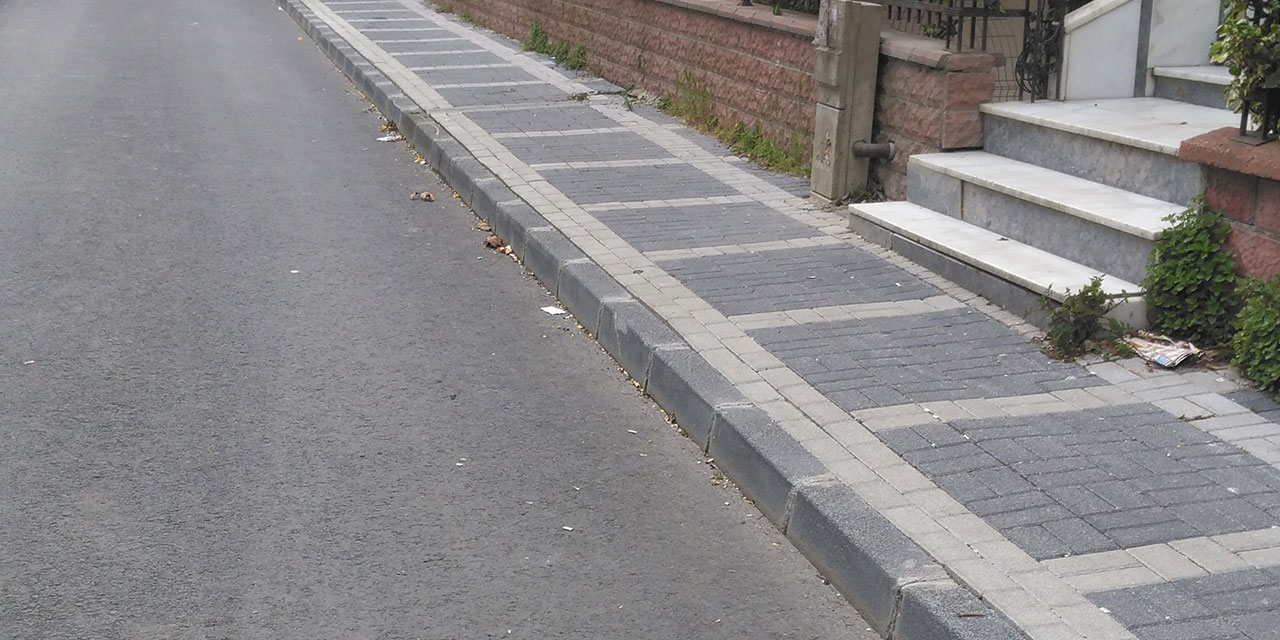 Slovakya'da kaldırımı kullananlara da hız sınırı getirildi