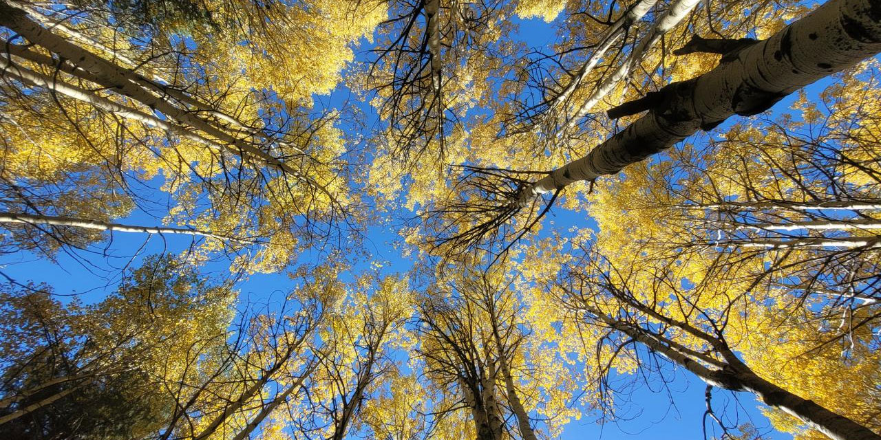 Bu hafta sıcaklıklar mevsim normallerinin üzerinde seyredecek