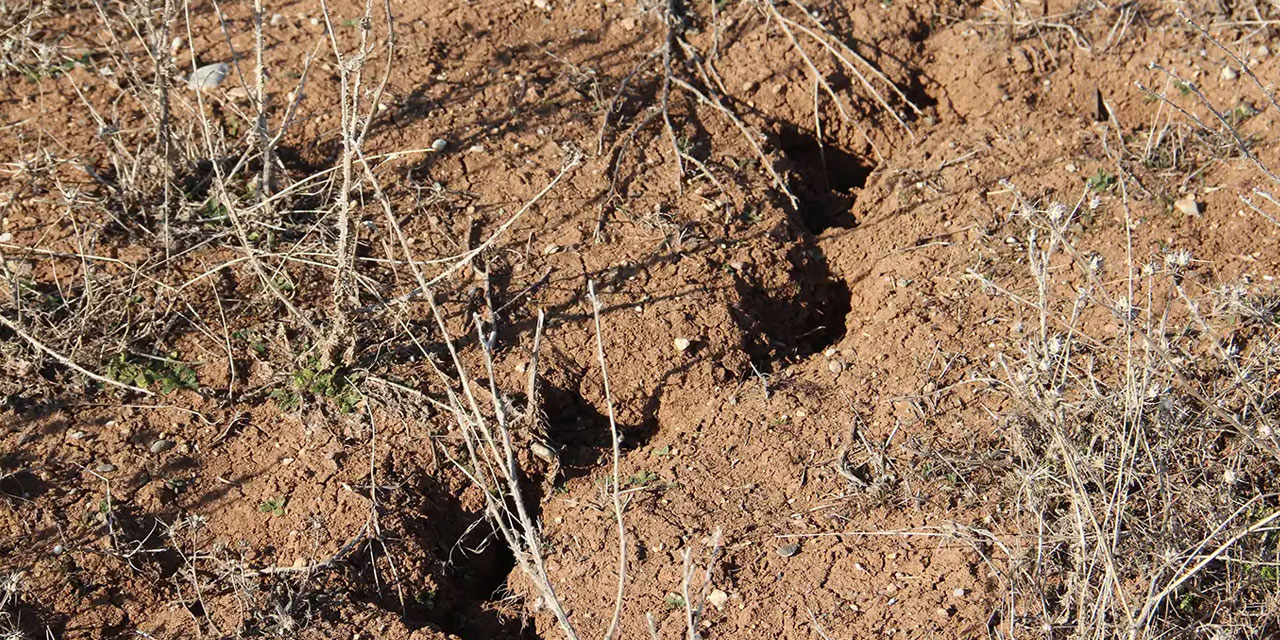 Çiftçi tarlaya giremiyor, kuraklık büyük tehdit