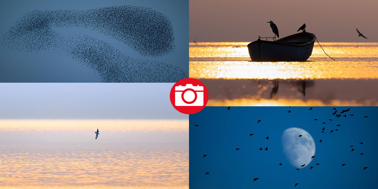 Manyas Kuş Cenneti'nde gün batımı