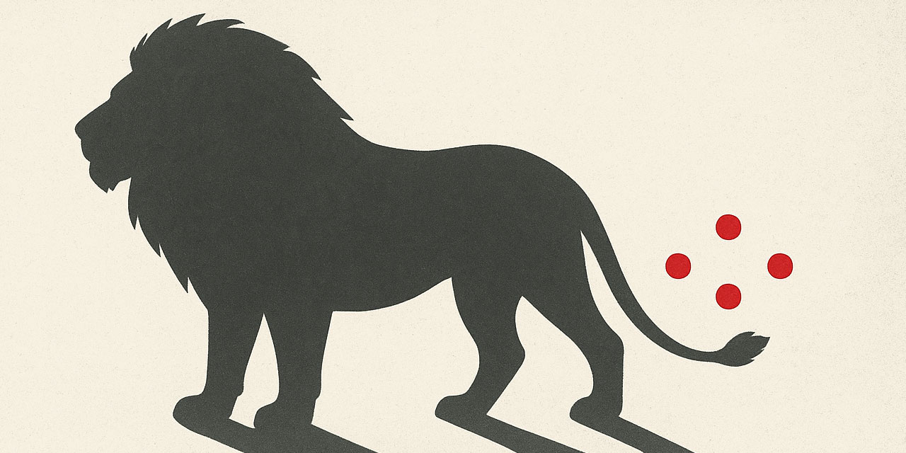 Başarı veya başarısızlığın arkasındaki küçük şeyler!