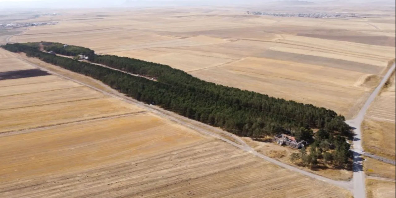 Kars'ta bozkırın ortasındaki vaha, görenleri mest etti