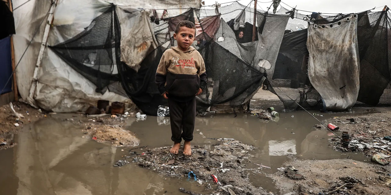 Gazze'ye çok acil çadır, ekipman ve insani malzeme girişi sağlanmalı