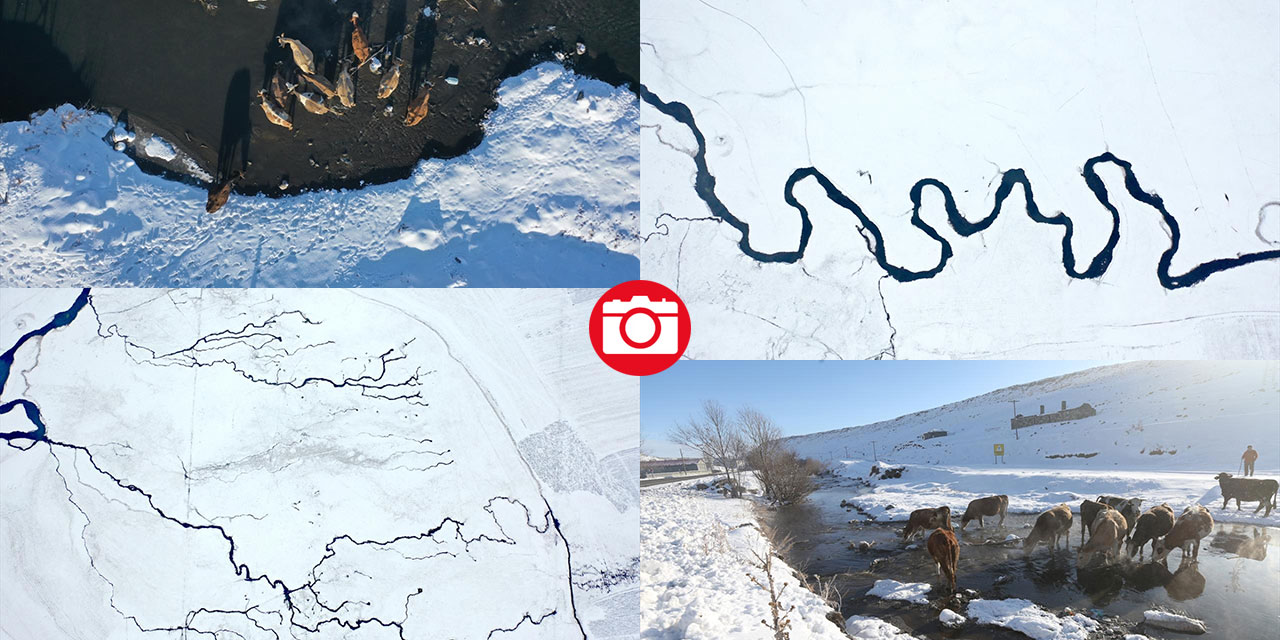 Kışın donmayan menderesler mahlukata can suyu oluyor