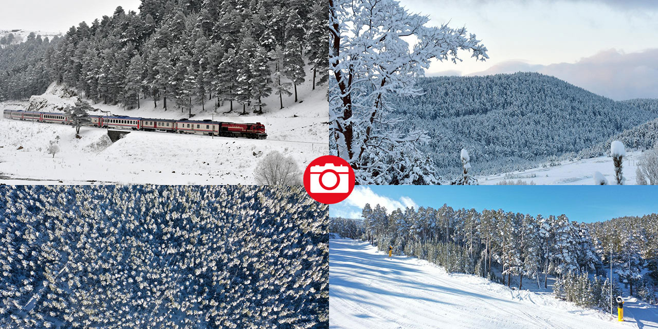 Sarıçam ormanlarında beyaz rahmet güzelliği