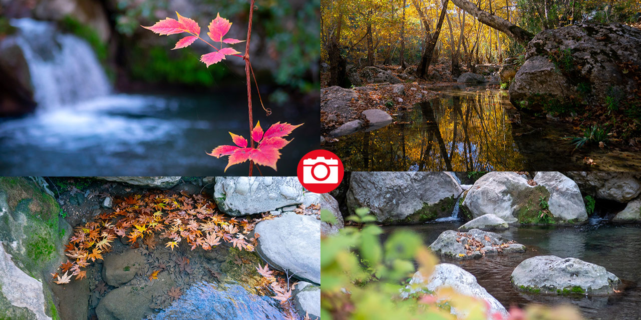 Sonbahar renkleri Beydağları'ndaki dere yataklarında farklı güzel