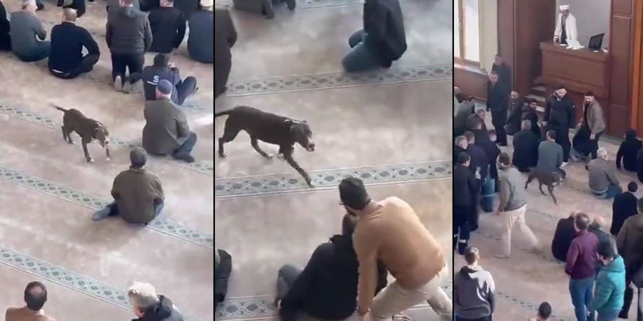 Bunu da yaptılar: Cuma namazında caminin içine köpek soktular!