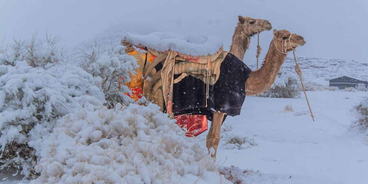Suudi Arabistan’da tarihi hadise: Kar yağdırıldı