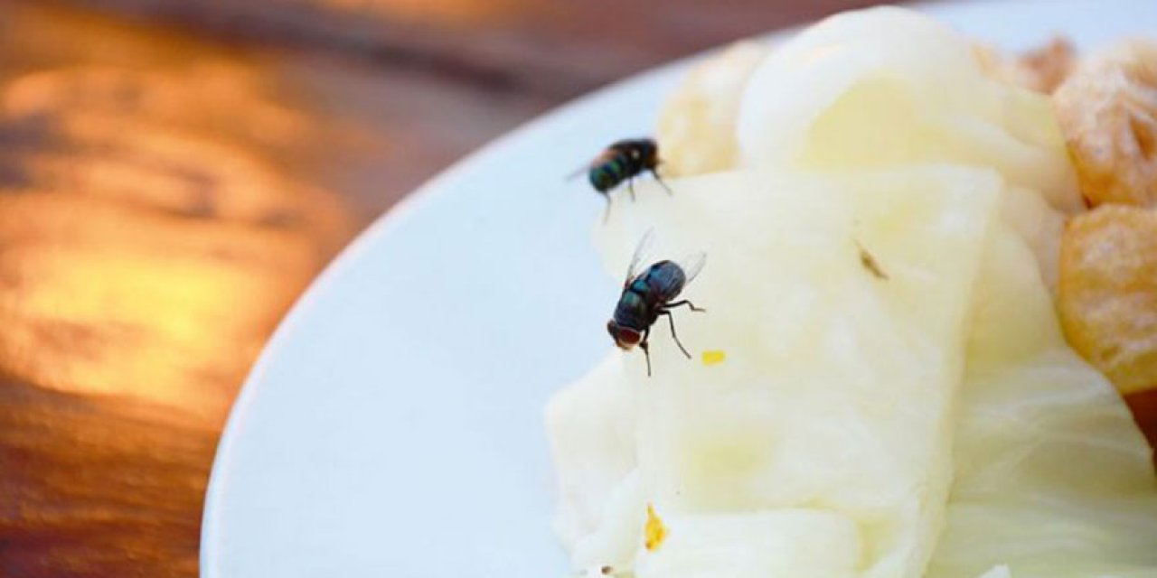 ‘Yemeğinize sinek düşerse onu iyice yemeğe batırın’ Hadisinin açıklaması