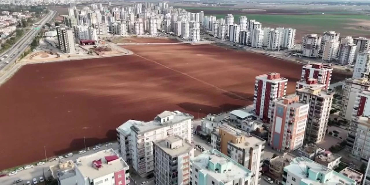 Apartmanların ortasında tarla: Sahibi satmadı, patates ekti