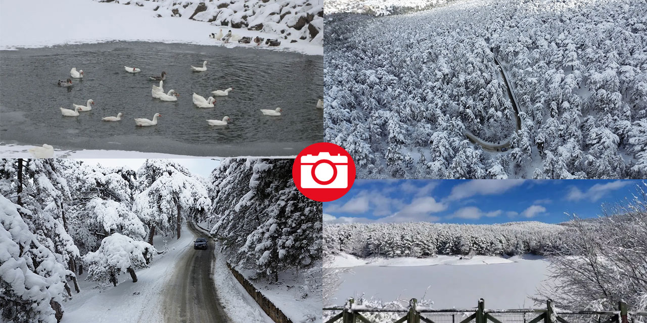 Karla kaplanan Yozgat Çamlık Milli Parkı ve Akdağmadeni ormanları
