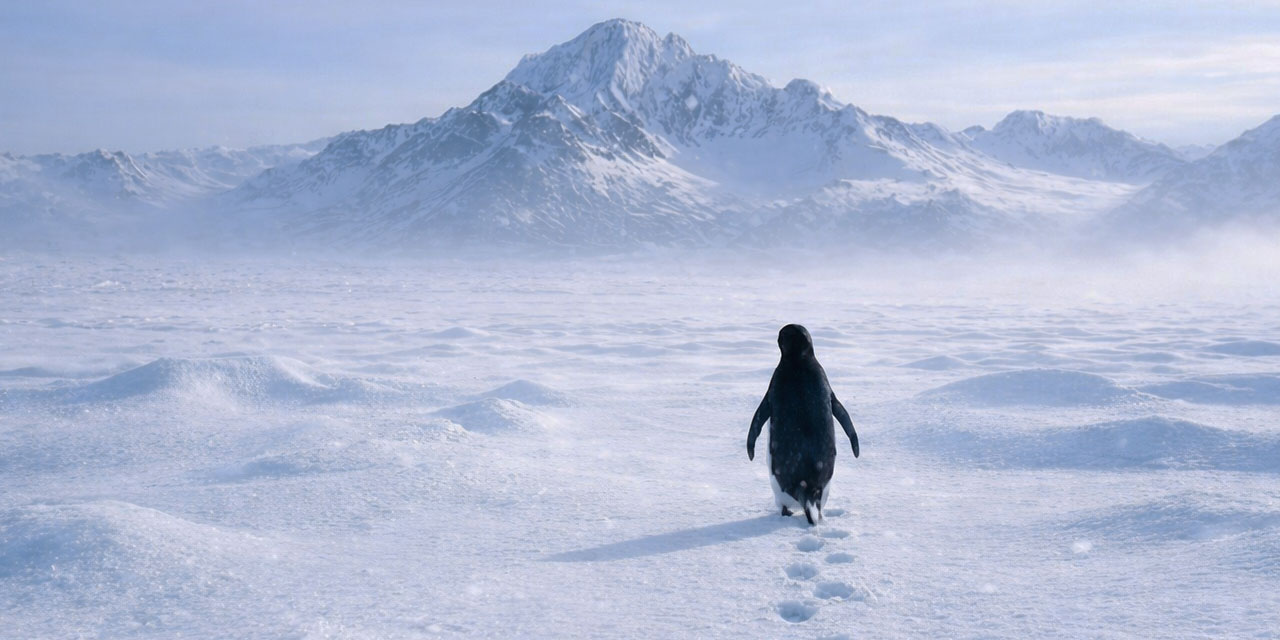 Nihilist penguen ne anlatıyor? Nevzat Tarhan açıkladı