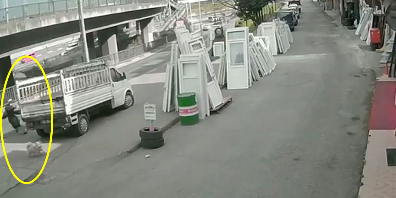 Köpek terörü Trabzon'da: Genç kız otobüsün altında kaldı!