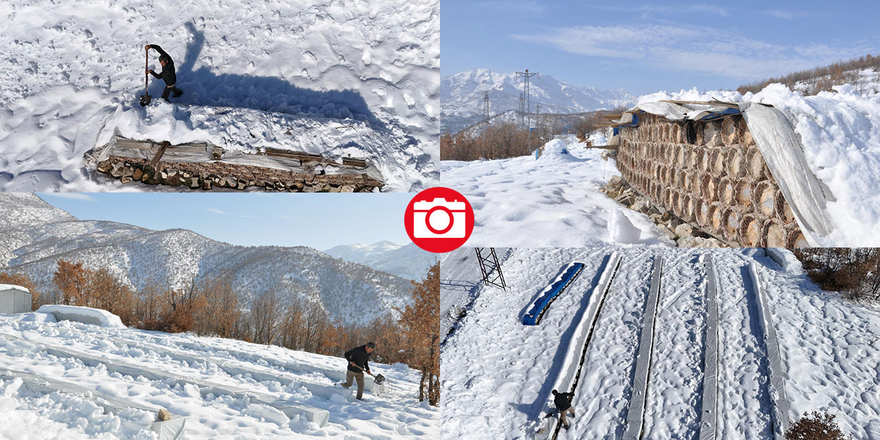 Hizan'ın arı kovanları kar altında korunuyor