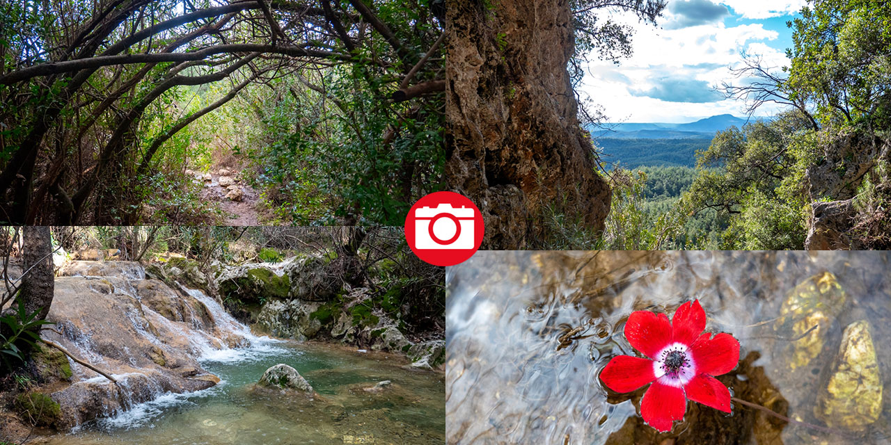 Hem tefekkür hem yürüyüş rotası: Kral Havuzu