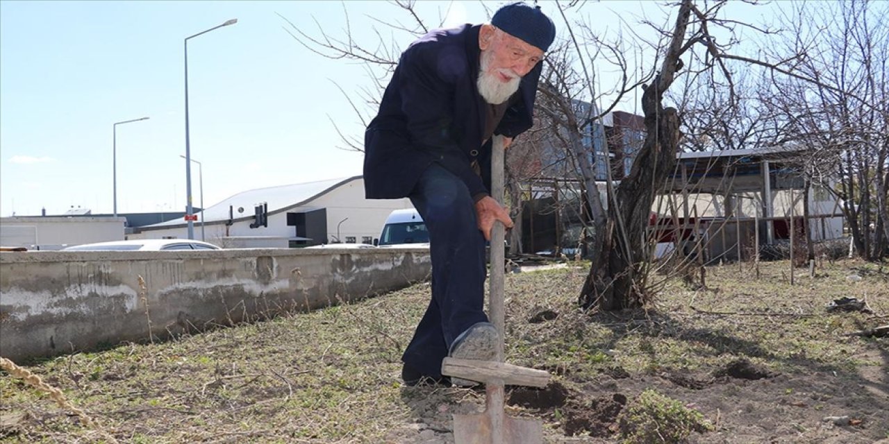99 yaşındaki Kaya dede çalışmadan duramıyor: Cenab-ı Allah'a borçluyum