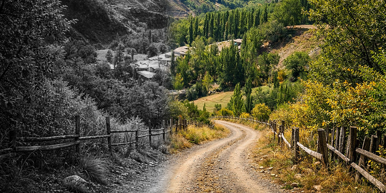 Nurs’un Said’ini, Nursî olarak âleme tescil ettiren tecellîler