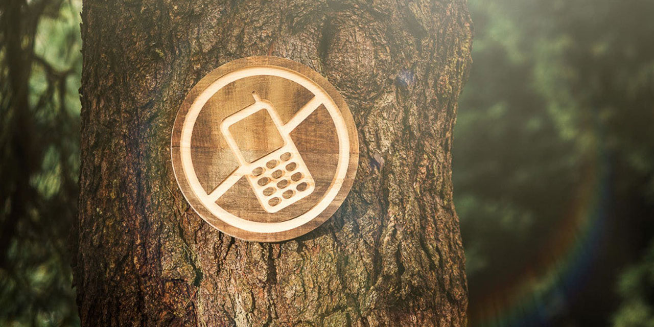 Üniversitede gençleri teknoloji bağımlılığından kurtaran 'dijital detoks' çalışması