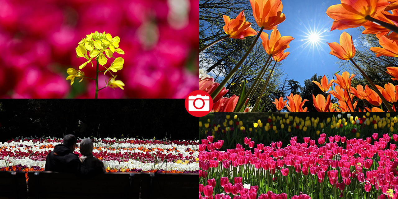 Gaziantep Botanik Bahçesi'nde ilkbahar tefekkürü