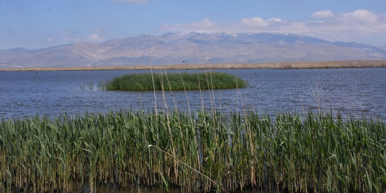 Kuraklık riski altındaki Eber Gölü'nün su seviyesi bereketlendi, üç kat arttı
