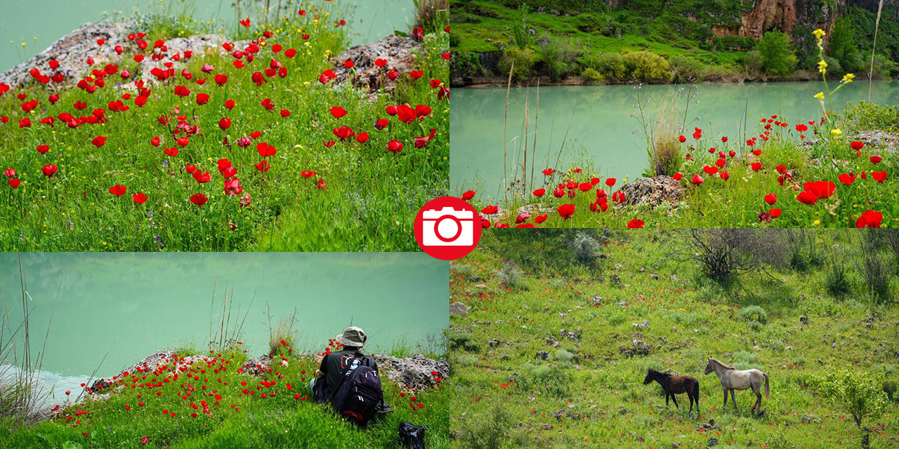 İlkbahar ile Kızılin Kanyonu çok daha güzelleştirildi