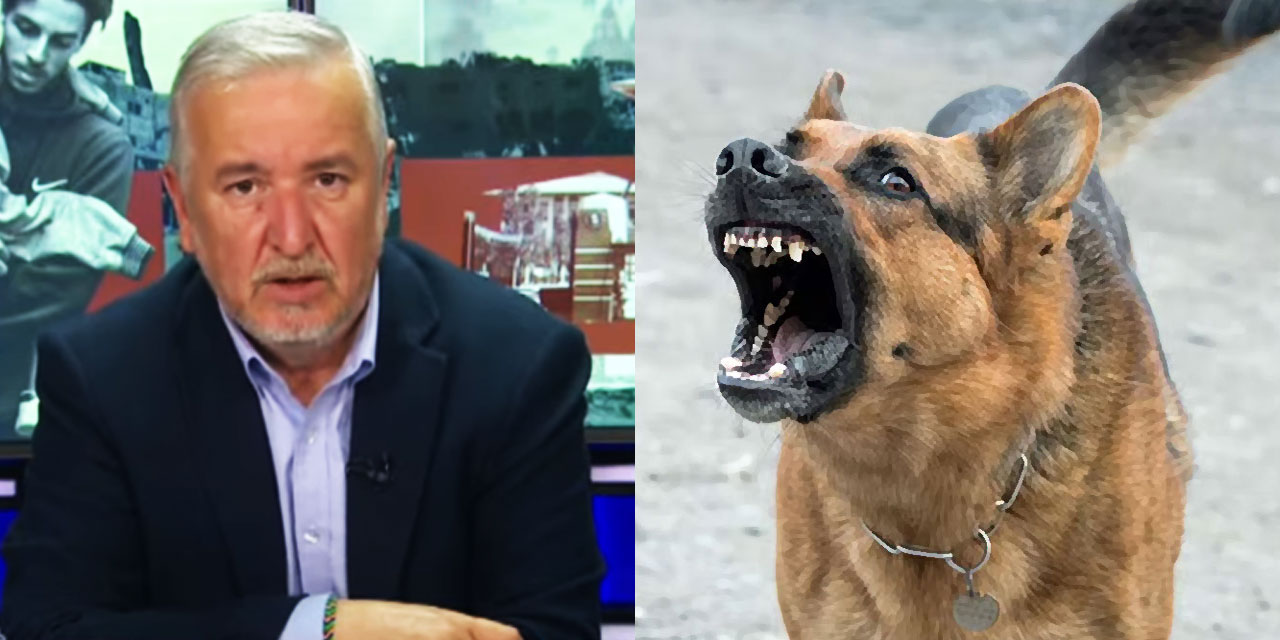 Köpek teröründe sessiz yığınların öfkesi patlama noktasına geldi!