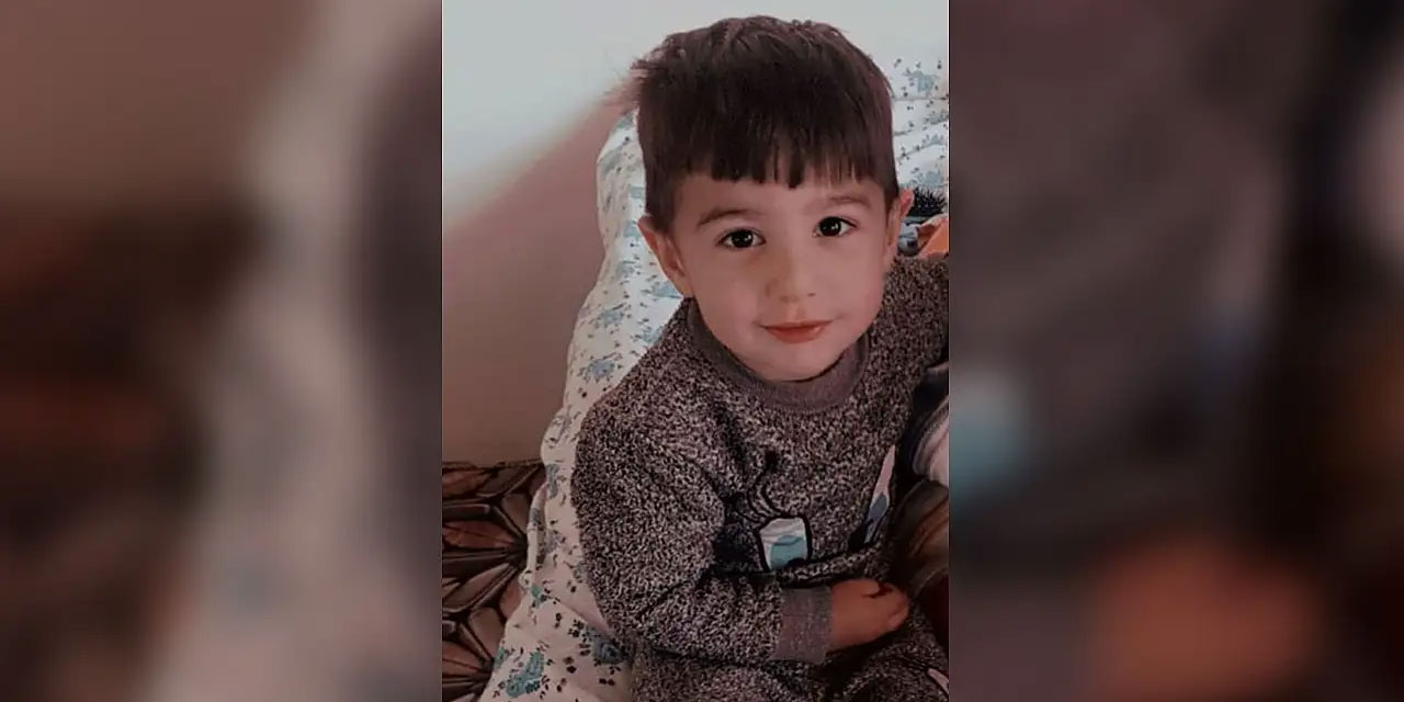 Sokak köpeklerinin katlettiği Hamza'nın otopsisinde Savcı bile ağladı