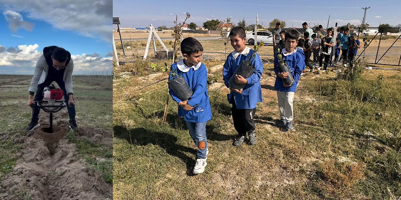 Genç imam, vazifeli olduğu köyde 2 bin fidan dikti