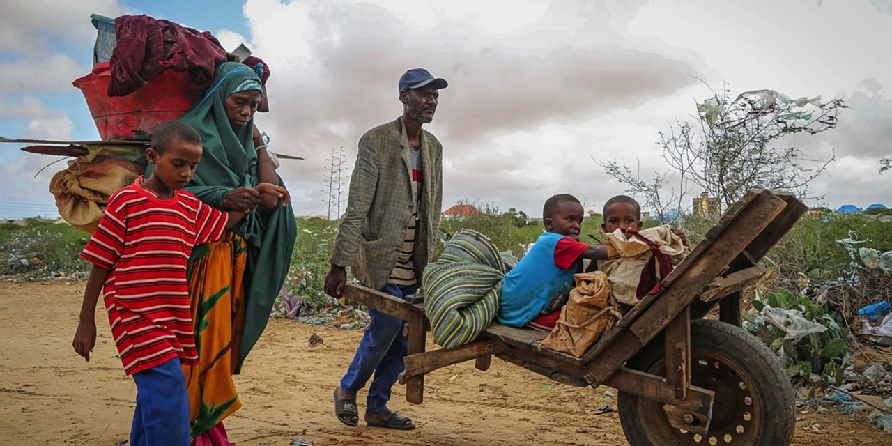 Afrika: Verimli topraklar, açlıkla mücadele eden milyonlar