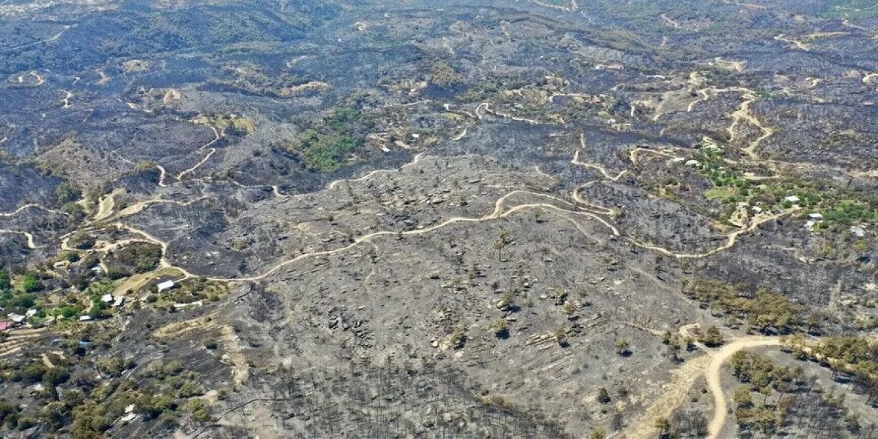 Aydın-Çine, Balıkesir-Susurluk ve İzmir-Buca yangınları tamamen kontrol altına alındı