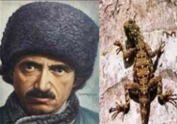 Said Nursi kertenkele katilini ne yaptı?