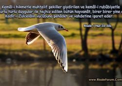 Teçhizatlı hayvanat