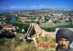 İslam alemini en iyi o anlatıyor