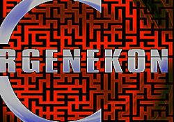 Ergenekon hangi cemaatlere sızdı?