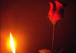 Kuvvet haktadır ve ihlâstadır