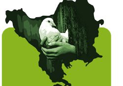 Balkan Müftüleri İstanbul'da toplanıyor